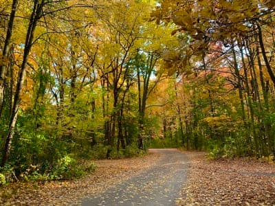 Pontiac Lake Recreation Area