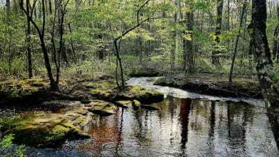Poor Farm Dispersed Recreation Area