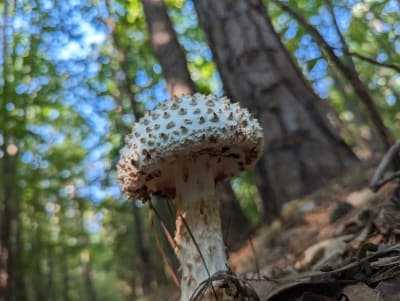 Poor Farm Dispersed Recreation Area