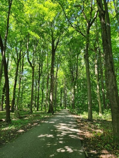 Potato Creek State Park