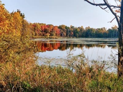 Potato Creek State Park