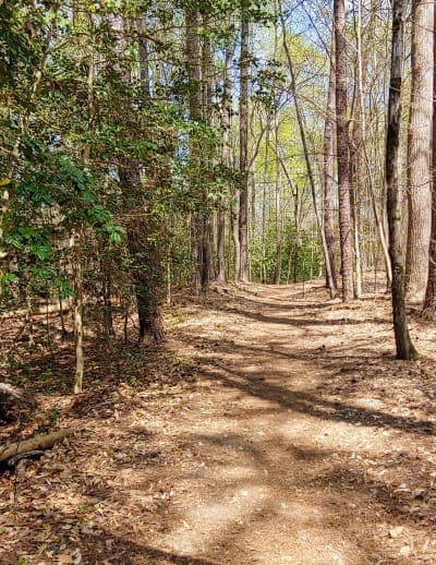 Poor Farm Dispersed Recreation Area
