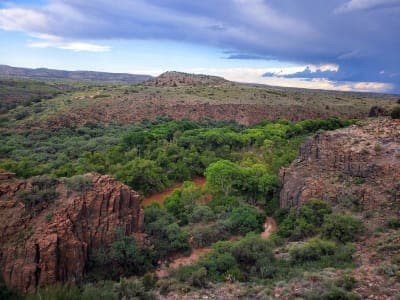Prescott National Forest