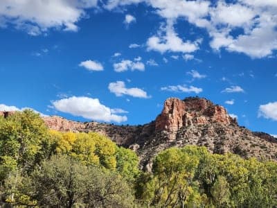 Prescott National Forest