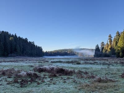 Prairie Creek Redwoods State Park