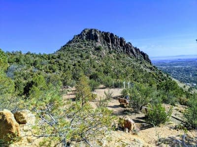 Prescott National Forest
