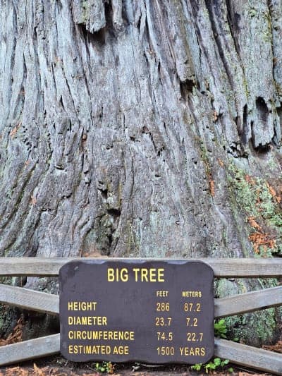 Prairie Creek Redwoods State Park