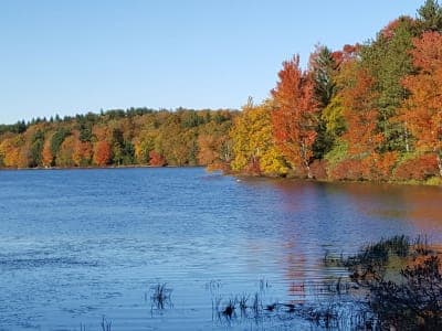 Promised Land State Park