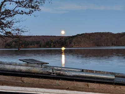 Prince Gallitzin State Park