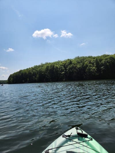 Prince Gallitzin State Park