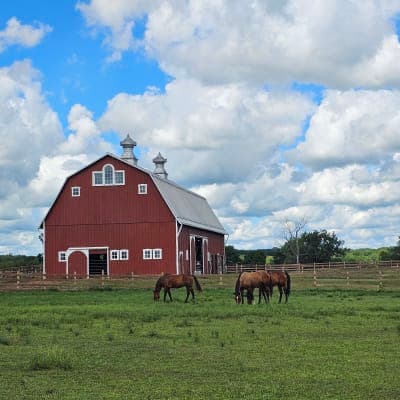 Prophetstown State Park