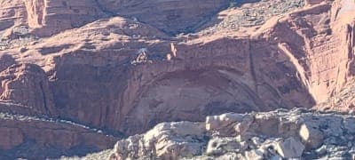 Prospector Trail / White Reef Equestrian Access