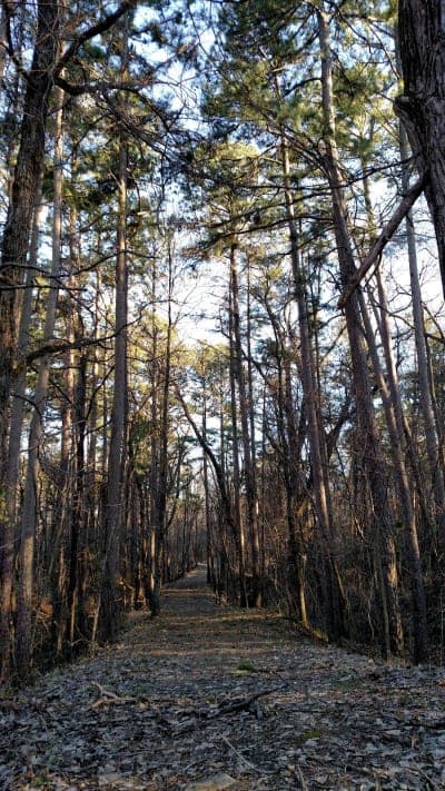 Pyramid State Recreation Area
