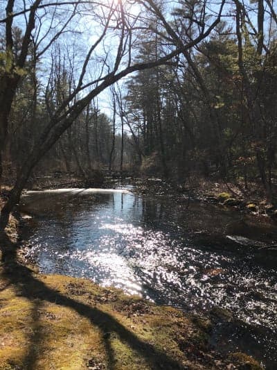 Pulaski Recreation Area