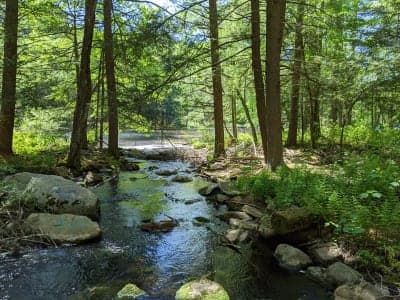 Pulaski Recreation Area