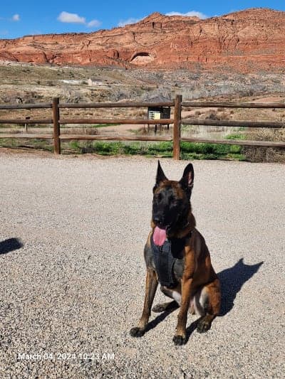 Prospector Trail / White Reef Equestrian Access