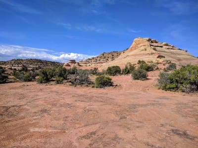 Rabbit Valley Recreation Area BLM