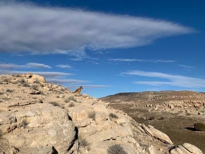 Rabbit Valley Recreation Area BLM