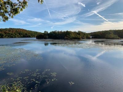 Ramapo Mountain State Forest