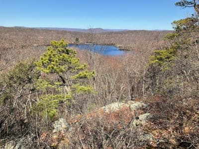 Ramapo Mountain State Forest