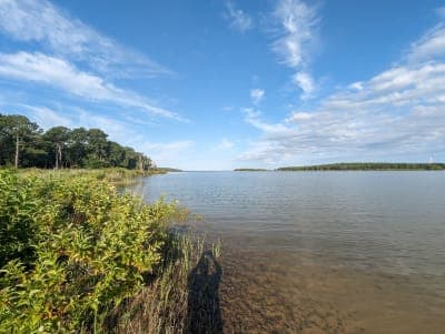 Ray Roberts Lake State Park (Isle du Bois Unit & Greenbelt)
