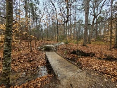 Raven Rock State Park