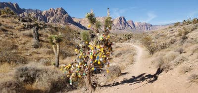 Red Rock Canyon NCA / Cottonwood–Late Night Trailheads