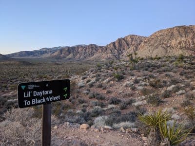 Red Rock Canyon NCA / Cottonwood–Late Night Trailheads