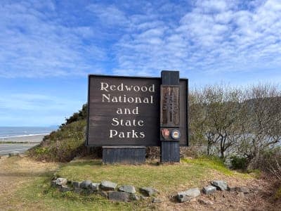 Redwood National and State Parks
