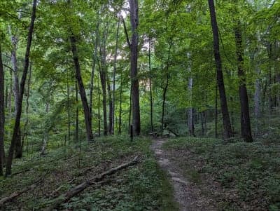 Red Hills State Park