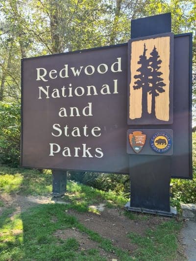 Redwood National and State Parks