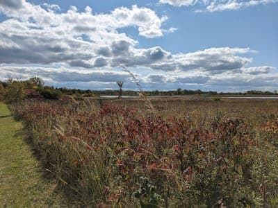 Richard Bong State Recreation Area