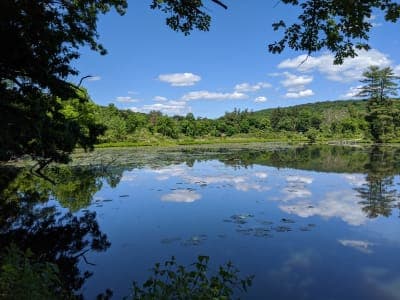Ringwood State Park