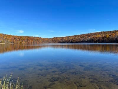 Ringwood State Park