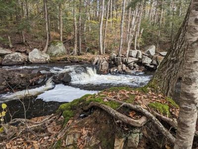 Ricker Pond State Park