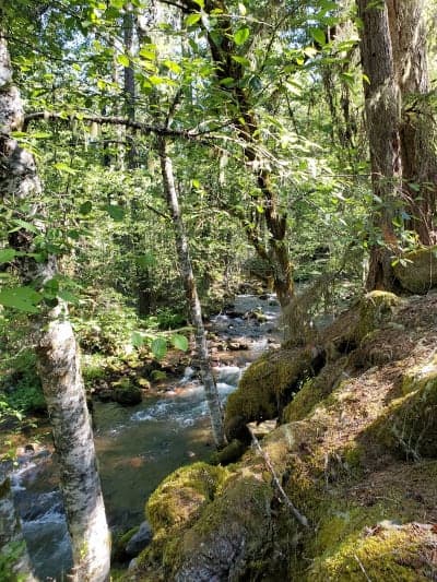 Riley Horse Campground & Day Use