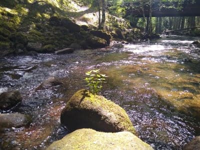 Riley Horse Campground & Day Use