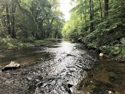 Ridley Creek State Park
