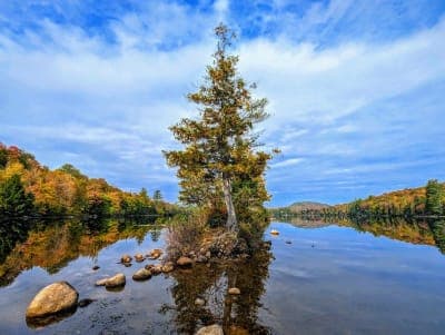 Ricker Pond State Park