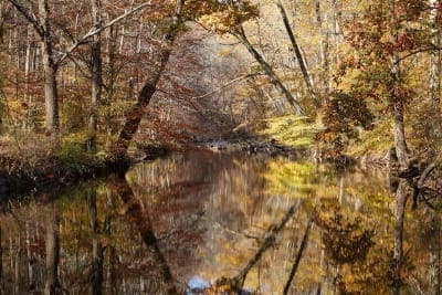 Ridley Creek State Park