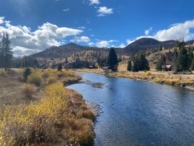 Rio Grande National Forest
