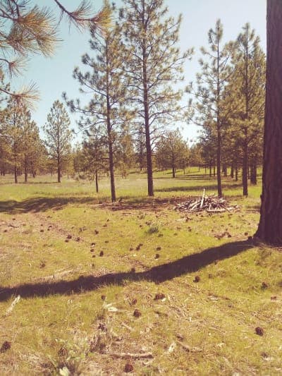 Riverside State Park Equestrian Area