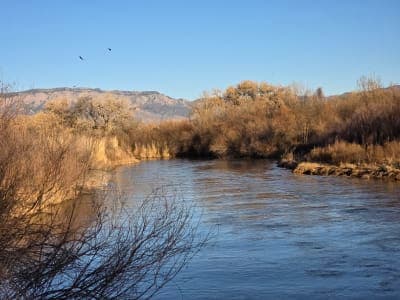 Rio Grande Valley State Park / Paseo del Bosque Trail