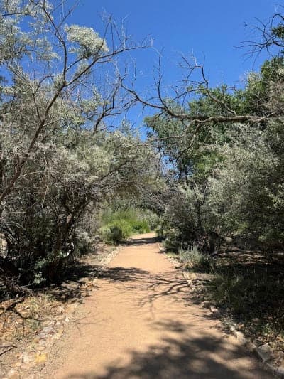 Rio Grande Valley State Park / Paseo del Bosque Trail
