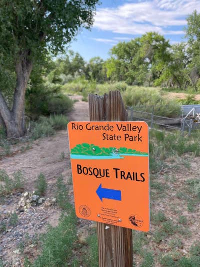 Rio Grande Valley State Park / Paseo del Bosque Trail