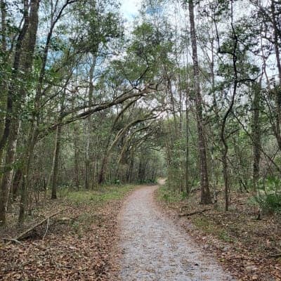 River Rise Preserve State Park