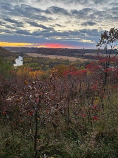 R. J. Dorer State Forest / Zumbro Bottoms Horse Campgrounds