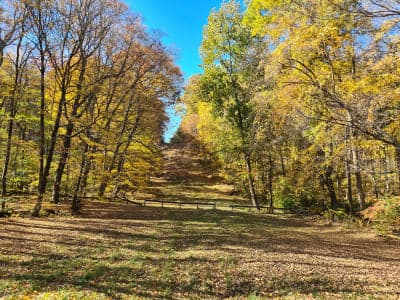Robinson State Park