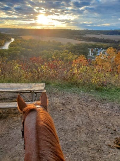 R. J. Dorer State Forest / Zumbro Bottoms Horse Campgrounds