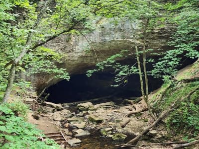 Rock Bridge Memorial State Park